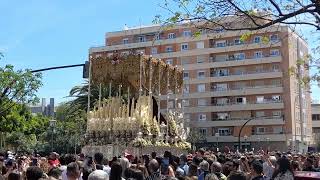 SEMANA SANTA DE CÁDIZ 2023. VIRGEN DEL AMPARO.