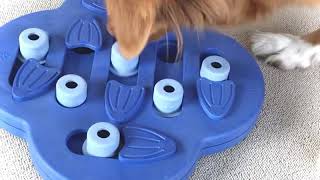 Nina Ottosson Dog Hide N Slide, level 2 puzzle. Swivel, Slide & Treat!