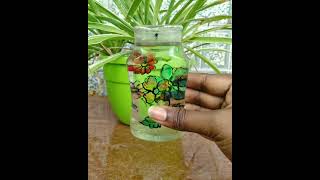 #SHORT BABY SPIDER PLANT PROPOGATION//GARDENING AND CRAFTY