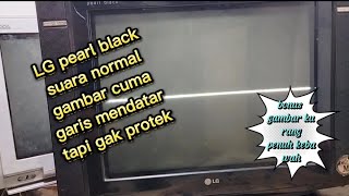 servis tv LG pearl black suara normal, gambar cuman garis kecil di tenggah