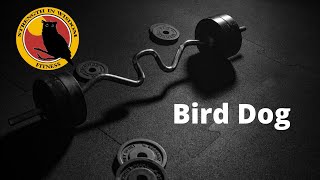 Bird Dog Exercise Demonstration (Strength in Wisdom Fitness)