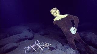 Dudley at the Endeavour hydrothermal vents