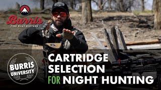 Cartridge Selection for Night Hunting Coyotes