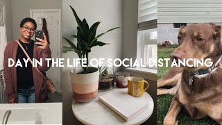 day in the life of social distancing | cleaning, gardening + tips on what to do while stuck inside