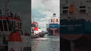 #navyCruise​​​​​shipOfficers⚓|Merchant Navy |Indian Navy whatsapp Status🌹|Thanks fr 90K Subs #shorts