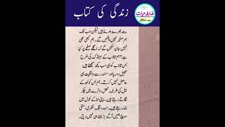 زندگی کتاب کی طرح ہے/ Zindagi Kitab ki Tarah Hy/ Life is like book/ Zabta e Hayat