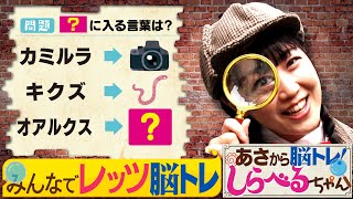 『あさから脳トレ！しらべるちゃん』【土曜のあさはほめるちゃん】2024/11/2放送