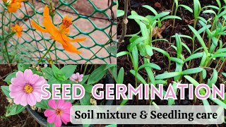 How to germinate seeds easily | Best soil for seed germination • Tips for seedling care