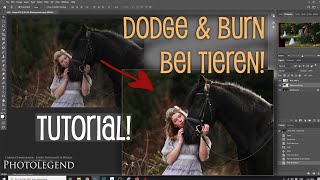 Photoshop Tutorial: Dodge & Burn bei Tieren