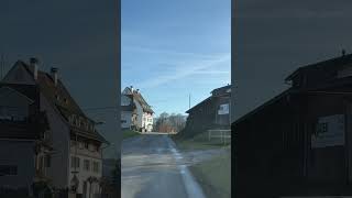 Spring weather in Winter! #travel #shortvideo #nature #shortsfeed #shorts  #short