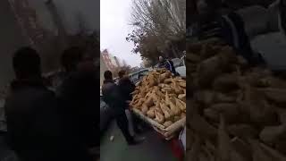 🔴برخورد وحشیانه عناصر شهرداری تبریز با یک کودک کار که با چغندر فروشی نان آور یک خانواده است.