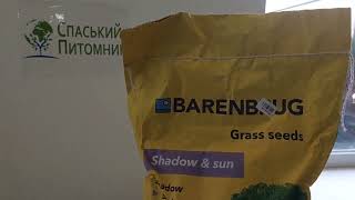 Тіньова газонна трава Barenbrug