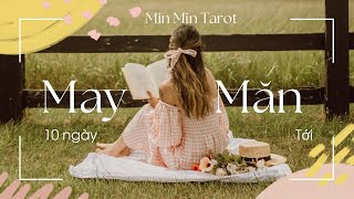 Trải bài chung: MAY MẮN NÀO SẼ TỚI TRONG 10 NGÀY TIẾP THEO