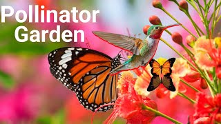 How to plant a pollinator  garden