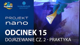 Projekt NANO - Odcinek 15 - Dojrzewanie cz.2 - Praktyka