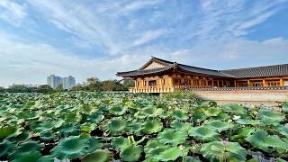 Jeonju in 2 Days | Must See Sights & Culinary Adventure | Hanok Village, Mural Village, Streetfood