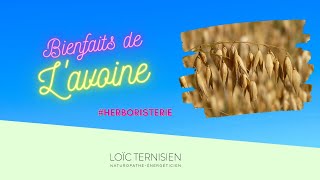 Bienfaits de l'avoine (herboristerie)