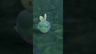 Shiny Knapfel #PokemonScarletViolet #DLC #Sirapfel #Dipplin Pokémon Karmesin und Purpur DLC