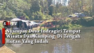 Nyampay Desa Indragiri Tempat Wisata Dan Kamping  Di Tengah Hutan Yang Indah