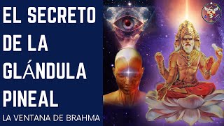 EL SECRETO DE LA GLÁNDULA PINEAL: La Ventana de Brahma