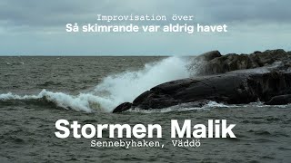 Dyningar efter stormen Malik - Sennebyhaken, Väddö - Melker Stendahl piano