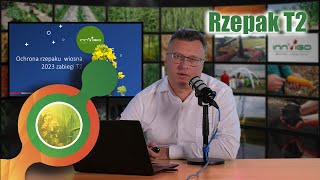 Zabieg T2 w rzepaku📌 | okres okołokwitnieniowy | ochrona fungicydowa | zgnilizna twardzikowa