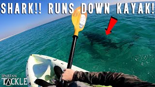 KAYAKER runs down SHARK | Shark Fishing (LBSF)