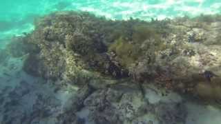 Rafael Biriba mergulhando com uma GoPro na Lagoa Azul - Ilha Grande/RJ