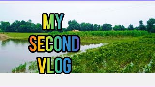 MY SECOND VLOG ♥️ || MY FIRST VIRAL || bablu banna vlog