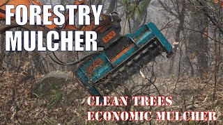 Grass Tree Forestry Mulcher AKRM series