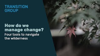 How do we manage change? | Transition Group