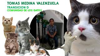 Comunidad de los Gatos