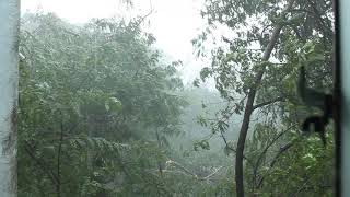 Cyclone Vardah at IIT Madras 9