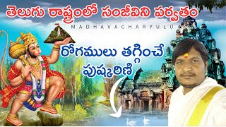 hanuman sanjeevani parvatham| Where is Sanjeevani mountain? | Ardhagiri Anjaneyaswamy Temple