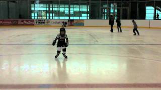 The new West Orillia Sports Complex