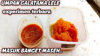 Umpan galatama lele||masuk.banget ini maszeh..