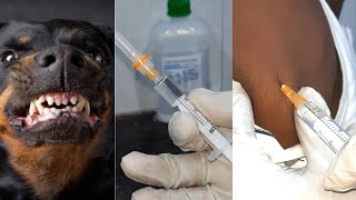 ARV | How to Give ARV | Anti Rabbies Vaccine | Dr Tusar 2.0