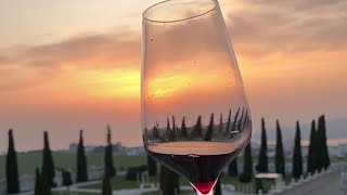 ОБЗОР! КРАСНЫЕ ВИНА «ВинЛаб» 🍷🍇 #youtubeshorts #вино #cocktail