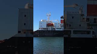 Cement Carrier "Goliath" Outbound Devonport Tasmania. #shorts #video #viral #lifeatsea ##ship #sea