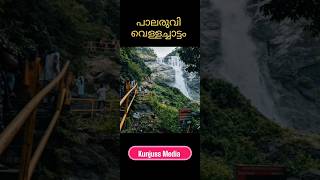 പലരുവി വെള്ളച്ചാട്ടം #travel #trendingshorts #waterfall #viralshorts #nature #trending