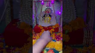 #ladoogopal #trending #krishna #janmashtami