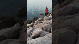 Big Shark 🦈 #viral #tamil #support #trending #subscribe #fish #shorts