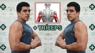 El MEJOR EJERCICIO Para La CABEZA LARGA De Tus TRÍCEPS! | Hipertrofia - Brazos | + Masa Muscular