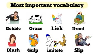 English Vocabulary | Daily use english verbs | Vocabulary with meanings