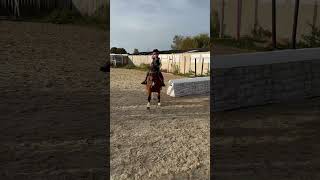 Never work with kids or animals… 🤣 #esmeandcherry #ponies #equestrianfail #horsefails