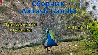 Сборник Aakash Gandhi  Прекрасная музыка  Часть 1. Музыка для души. Музыка на каждый день.