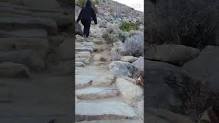 Ryan Mountain - Joshua Tree National Park #shorts #roadtosomethingnew