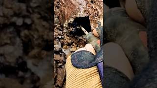 Herkimer Diamonds Mining || #short #shortvideo #gemstone #quartz #shorts #stone