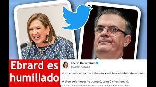 Marcelo Ebrard es humillado por Xóchitl Galvez en Twitter