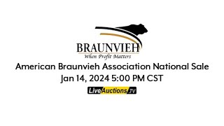 American Braunvieh Association National Sale : Jan 14, 2024